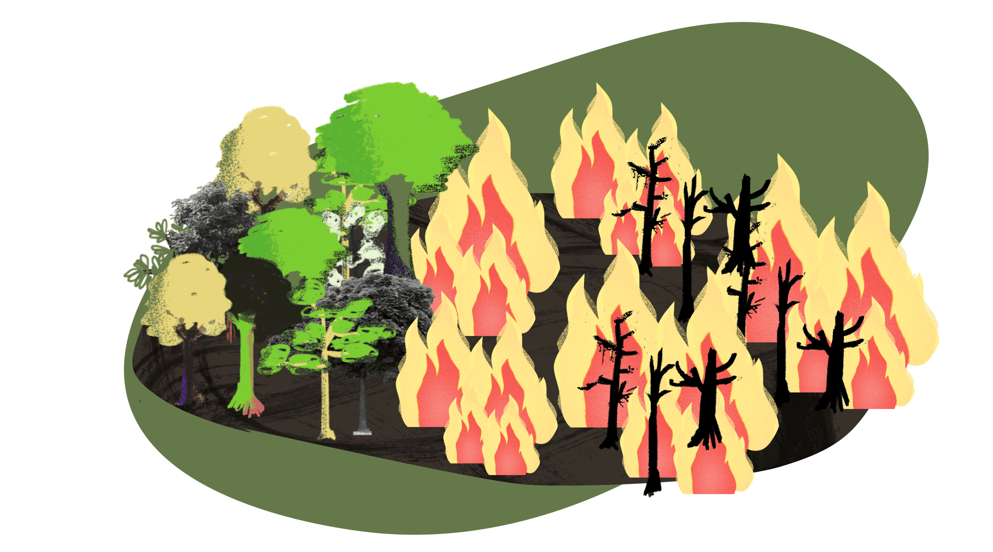 Forest Fire Prediction
